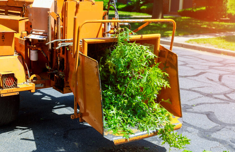 Tree mulching - tree chipper